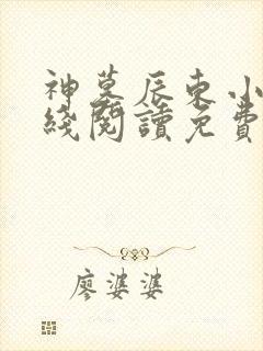 神墓辰东小说在线阅读免费