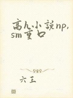 高h小说np,sm重口
