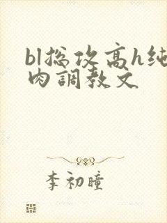 bl总攻高h纯肉调教文