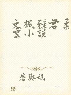 文枫雅君柔佳素云小说