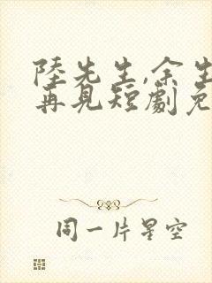 陆先生,余生不再见短剧免费观看封面