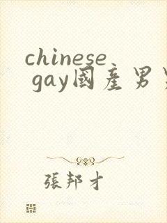 chinese gay国产男男