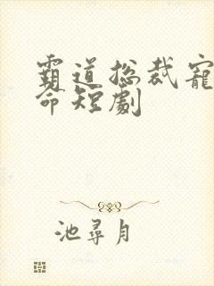 霸道总裁宠妻如命短剧封面