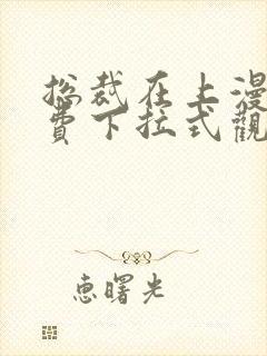 总裁在上漫画免费下拉式观看