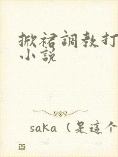 掀裙调教打屁股小说