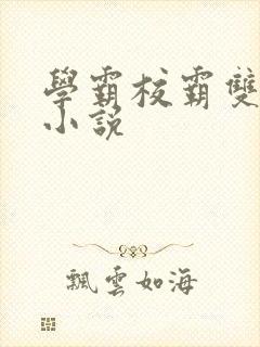 学霸校霸双男主小说封面
