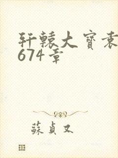 轩辕大宝袁雪妃674章