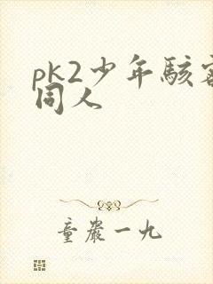 pk2少年骇客同人封面