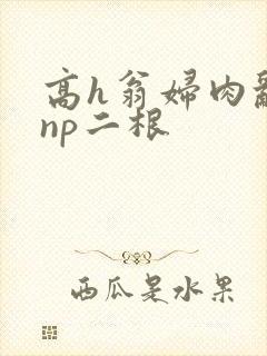 高h翁妇肉乱文np二根