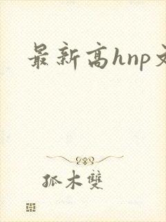 最新高hnp文封面