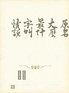 情字最大原著小说叫什么名字啊封面