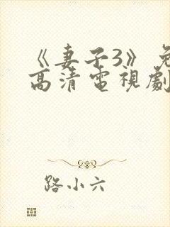 《妻子3》免费高清电视剧完整版在线