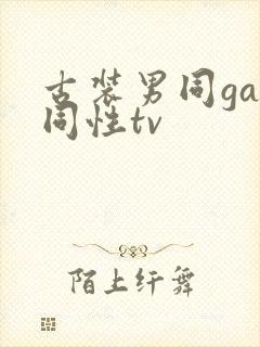 古装男同gay同性tv封面