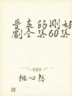 爱来的刚好电视剧全集60集封面