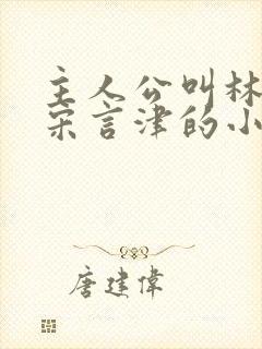 主人公叫林清妍宋言津的小说