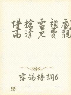 借枪电视剧全集高清免费观看封面
