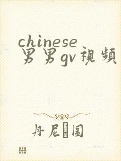 chinese男男gv视频网站