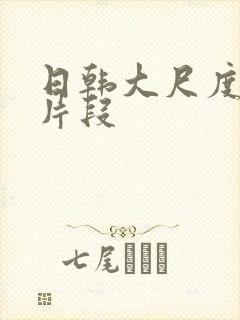 日韩大尺度床戏片段