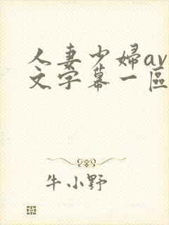 人妻少妇av中文字幕一区二区
