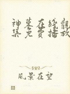 神墓在线观看全集免费播放动漫14