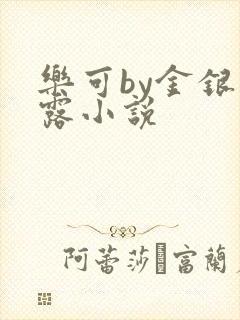 乐可by金银花露小说