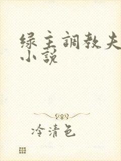 绿主调教夫妻奴小说
