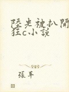 陆光被扒开双腿狂c小说