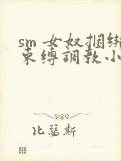 sm 女奴捆绑束缚调教小说