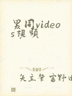 男同videos视频