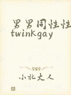 男男同性性行为twinkgay封面