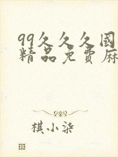 99久久久国产精品免费麻豆