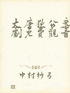 大唐狄公案电视剧免费观看完整版封面