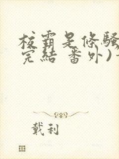 校霸是条骚狗(完结 番外)笔趣阁封面
