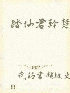 踏仙君干楚晚