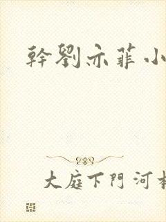 干刘亦菲小说
