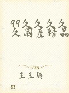 99久久久久久久国产精品