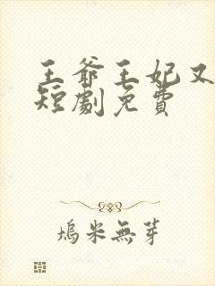 王爷王妃又演上短剧免费