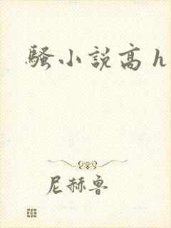 骚小说高 h