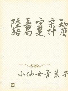 陆长官宋知韵大结局是什么封面