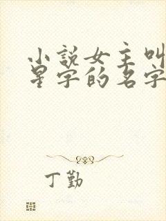 小说女主叫带有星字的名字封面