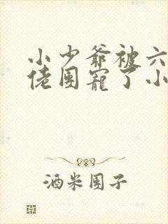 小少爷被六个大佬团宠了小说