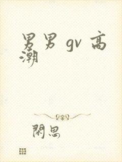 男男 gv 高潮