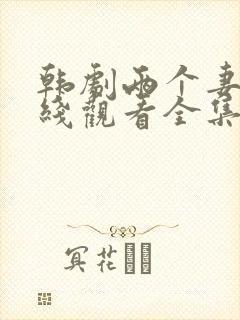 韩剧两个妻子在线观看全集免费