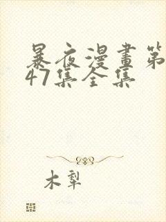 暴夜漫画第一季47集全集