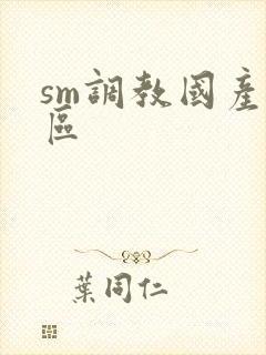 sm调教国产一区