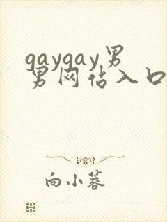 gaygay男男网站入口
