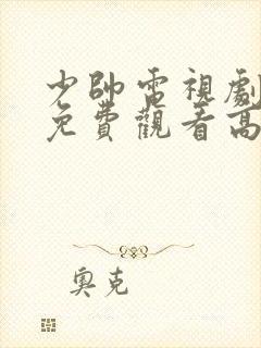 少帅电视剧全集免费观看高清在线观看封面