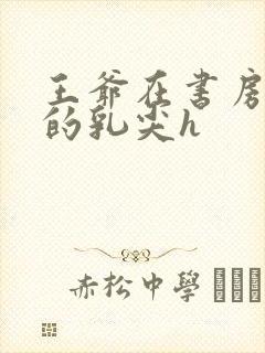 王爷在书房含她的乳尖h
