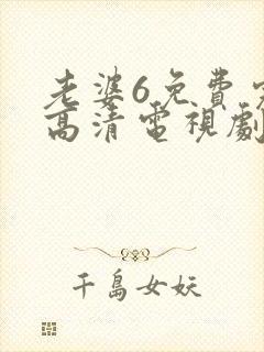 老婆6免费完整高清电视剧在线观看