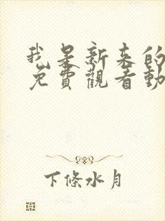 我是新来的老师免费观看动漫版